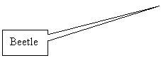 Rectangular Callout: Beetle