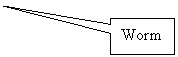 Rectangular Callout: Worm